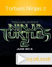 #19-tortues-ninjas-2