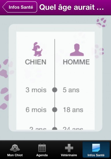 age-chiot-homme