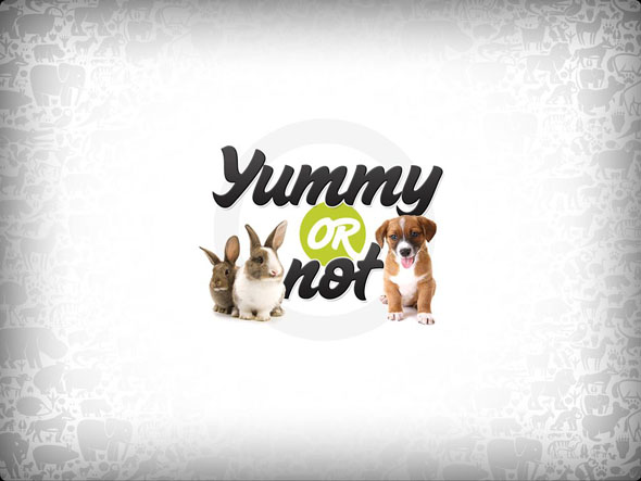 Yummy or not ? Votez pour l'animal que vous trouvez le plus beau et gagnez vous aussi des yummys pour votre compagnon !